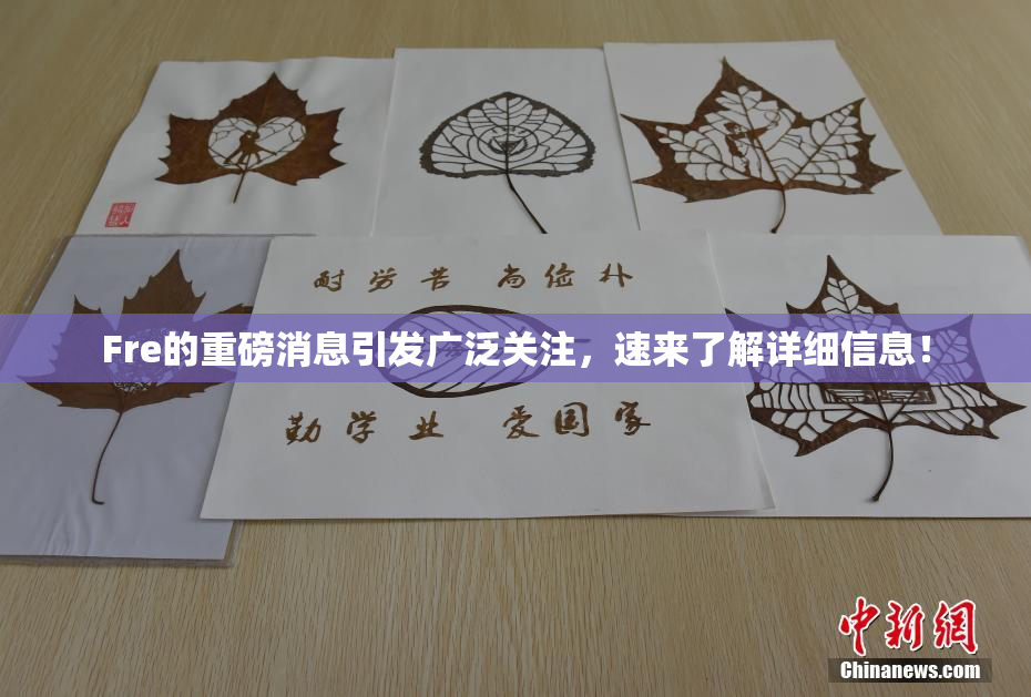 Fre的重磅消息引发广泛关注，速来了解详细信息！