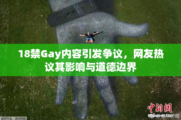 18禁Gay内容引发争议，网友热议其影响与道德边界