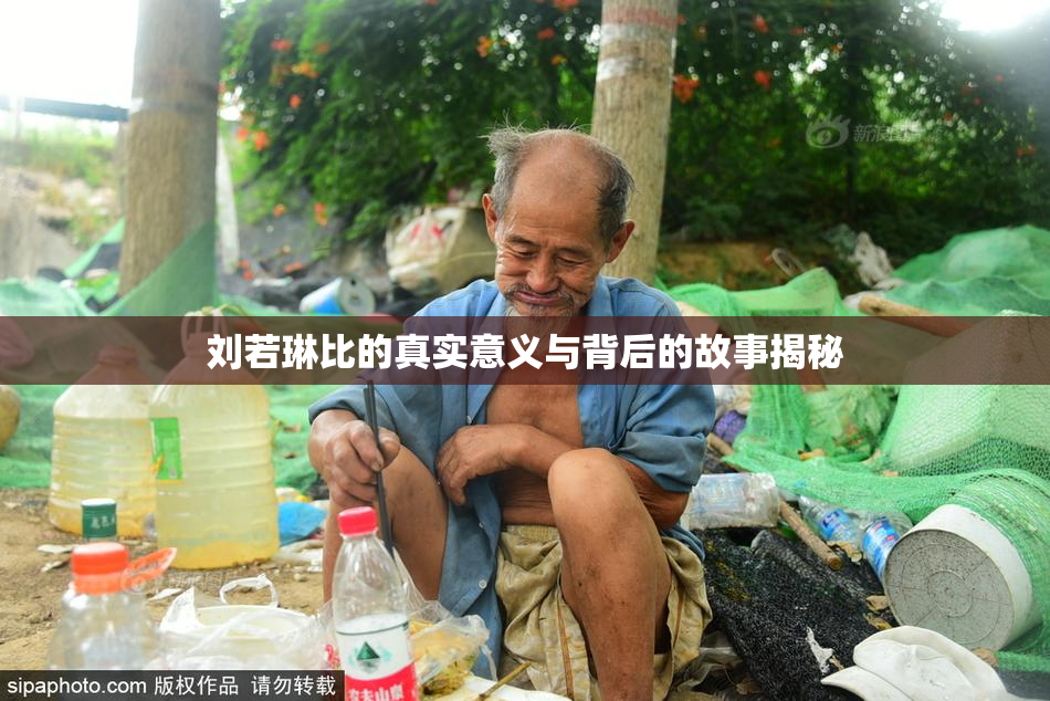 刘若琳比的真实意义与背后的故事揭秘
