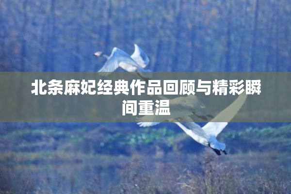 北条麻妃经典作品回顾与精彩瞬间重温