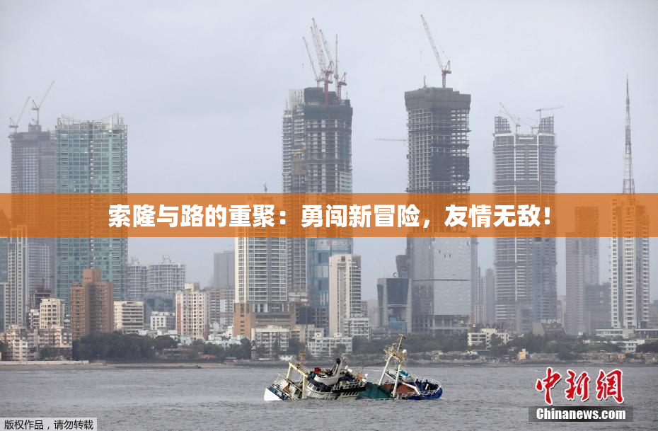 索隆与路的重聚：勇闯新冒险，友情无敌！