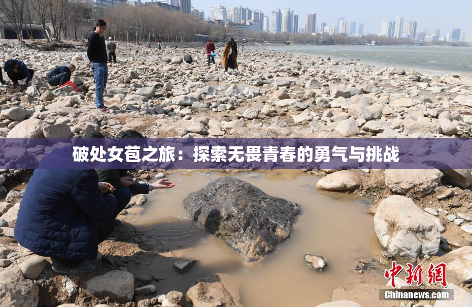 破处女苞之旅：探索无畏青春的勇气与挑战