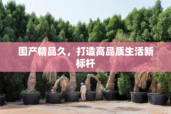 围产精品久，打造高品质生活新标杆