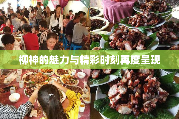 柳神的魅力与精彩时刻再度呈现