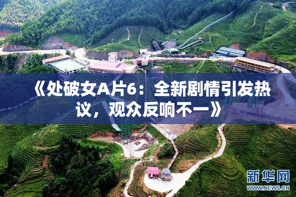 《处破女A片6：全新剧情引发热议，观众反响不一》