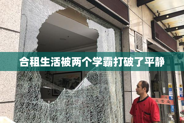 合租生活被两个学霸打破了平静