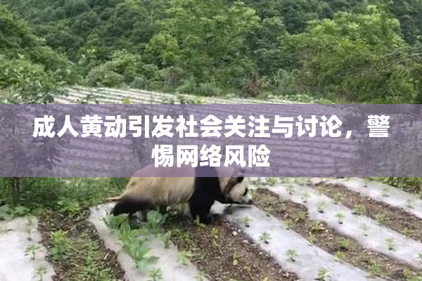 成人黄动引发社会关注与讨论，警惕网络风险