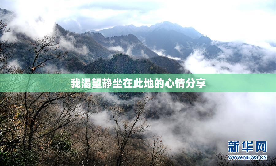 我渴望静坐在此地的心情分享