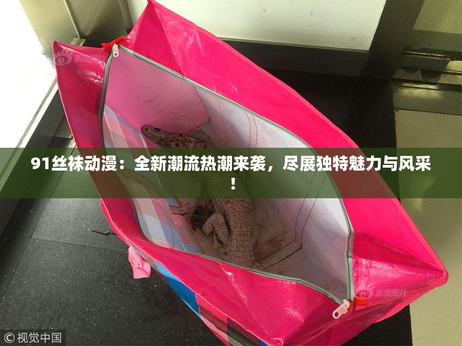 91丝袜动漫：全新潮流热潮来袭，尽展独特魅力与风采！
