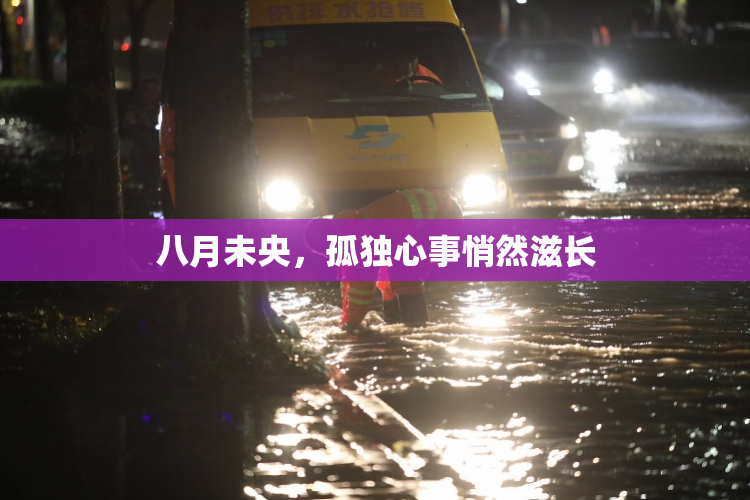 八月未央，孤独心事悄然滋长