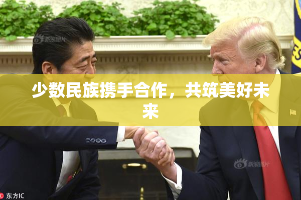 少数民族携手合作，共筑美好未来