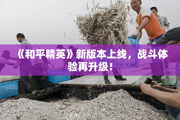 《和平精英》新版本上线，战斗体验再升级！