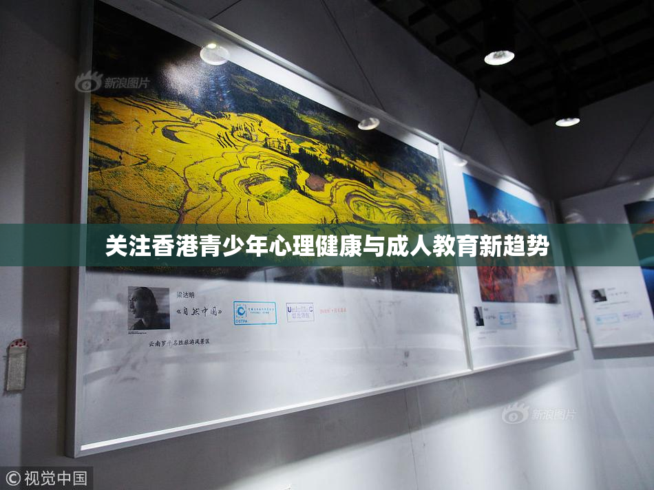 关注香港青少年心理健康与成人教育新趋势