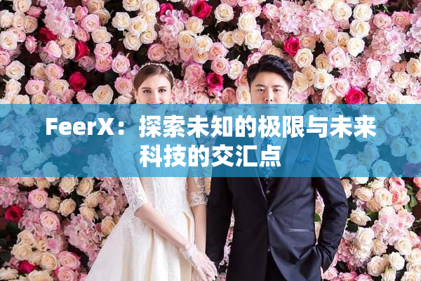 FeerX：探索未知的极限与未来科技的交汇点