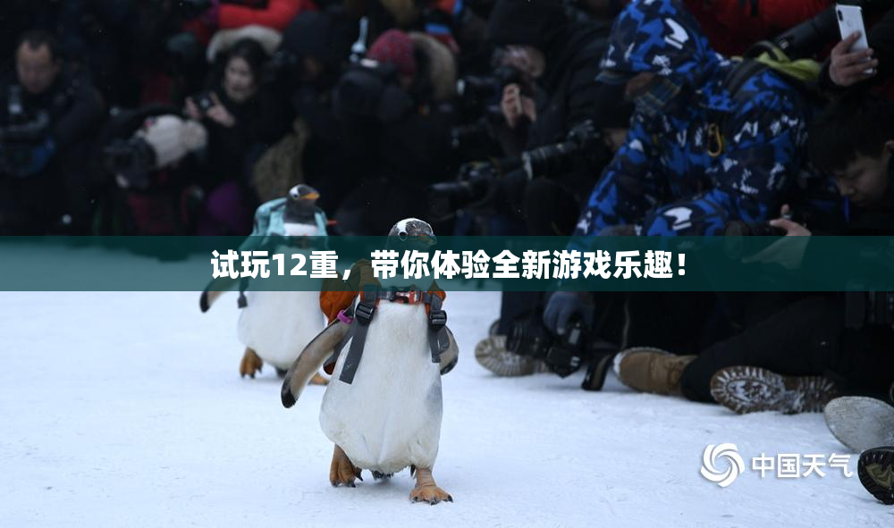 试玩12重，带你体验全新游戏乐趣！