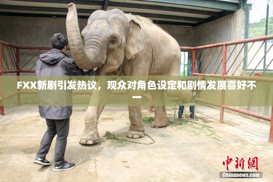 FXX新剧引发热议，观众对角色设定和剧情发展喜好不一