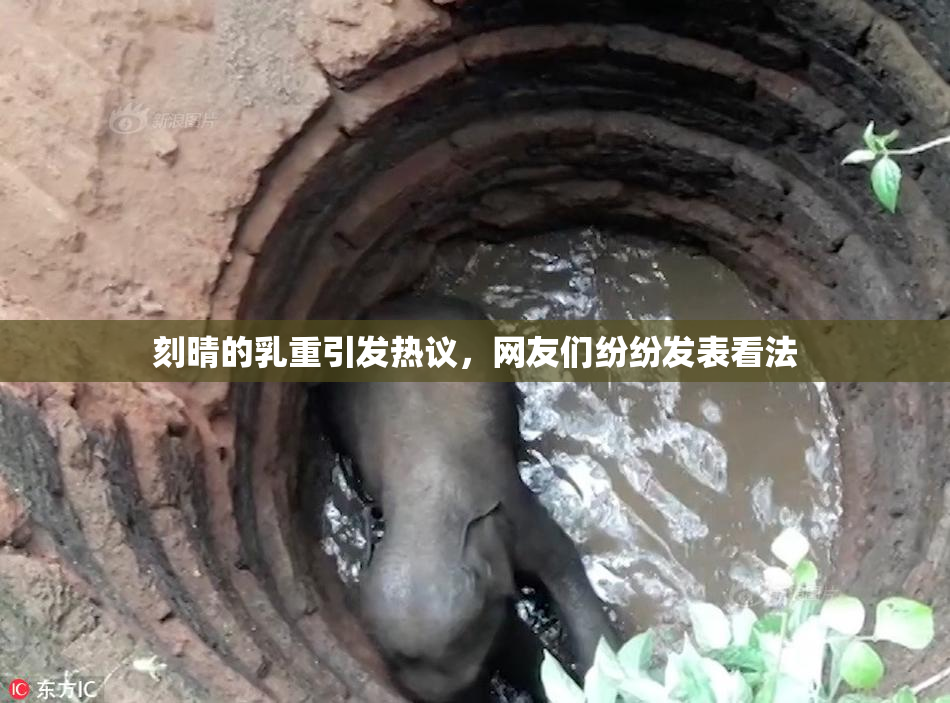 刻晴的乳重引发热议，网友们纷纷发表看法