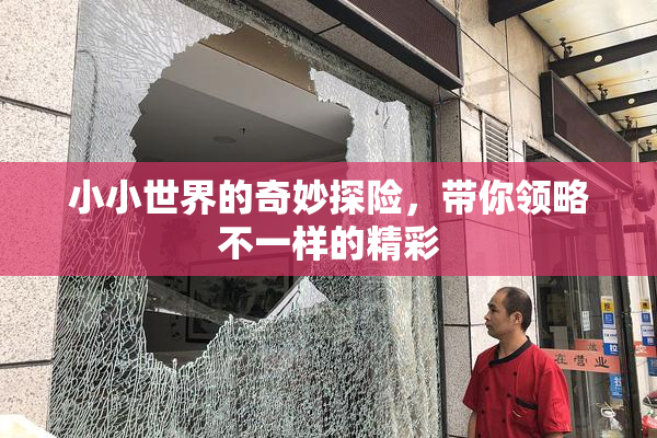 小小世界的奇妙探险，带你领略不一样的精彩