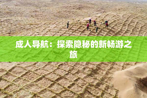 成人导航：探索隐秘的新畅游之旅