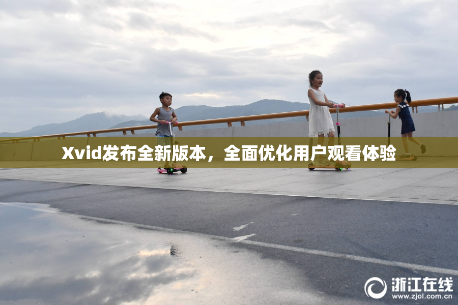Xvid发布全新版本，全面优化用户观看体验