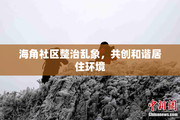 海角社区整治乱象，共创和谐居住环境