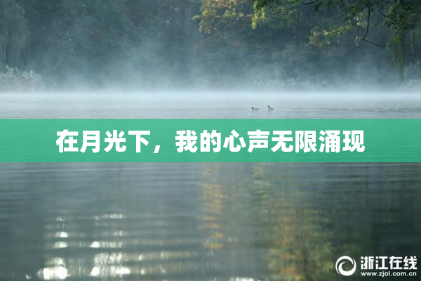 在月光下，我的心声无限涌现