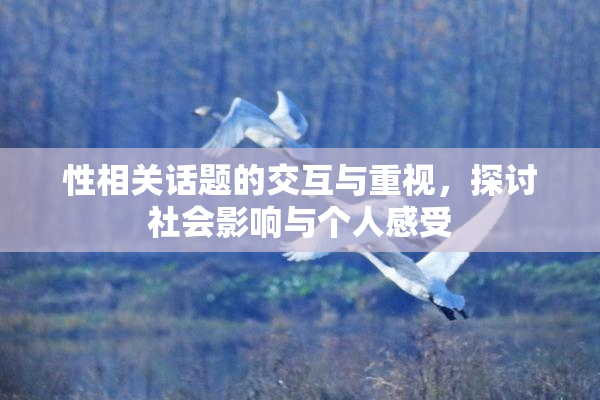 性相关话题的交互与重视，探讨社会影响与个人感受