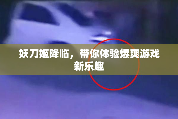 妖刀姬降临，带你体验爆爽游戏新乐趣