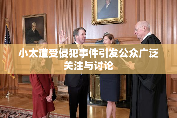 小太遭受侵犯事件引发公众广泛关注与讨论