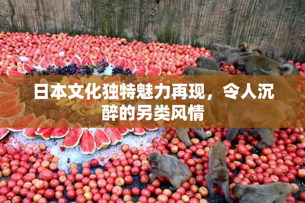 日本文化独特魅力再现，令人沉醉的另类风情