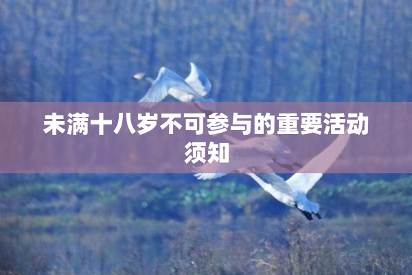 未满十八岁不可参与的重要活动须知