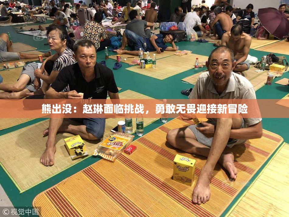 熊出没：赵琳面临挑战，勇敢无畏迎接新冒险
