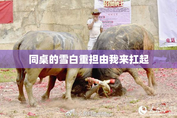 同桌的雪白重担由我来扛起