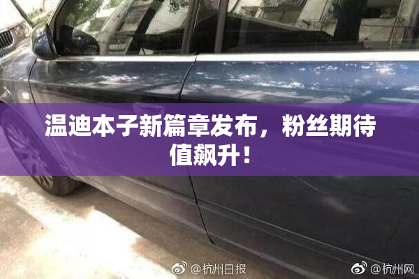 温迪本子新篇章发布，粉丝期待值飙升！