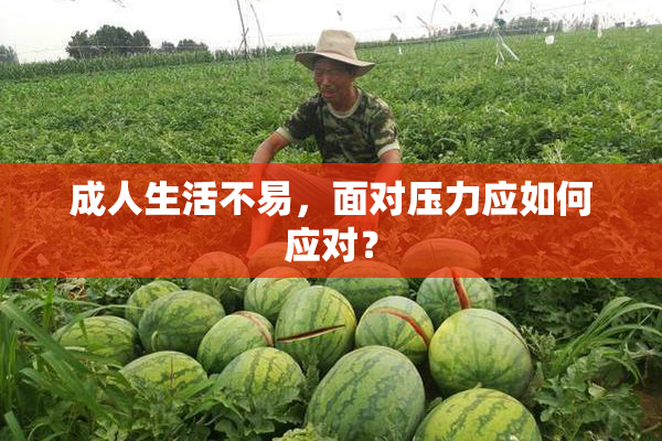 成人生活不易，面对压力应如何应对？