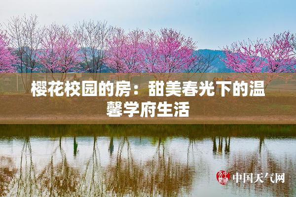 樱花校园的房：甜美春光下的温馨学府生活