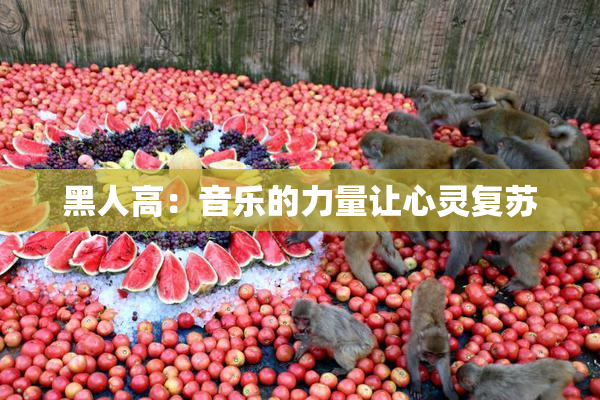 黑人高：音乐的力量让心灵复苏