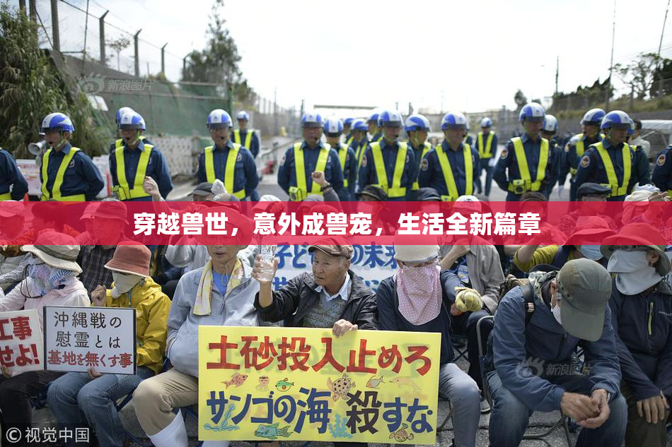 穿越兽世，意外成兽宠，生活全新篇章