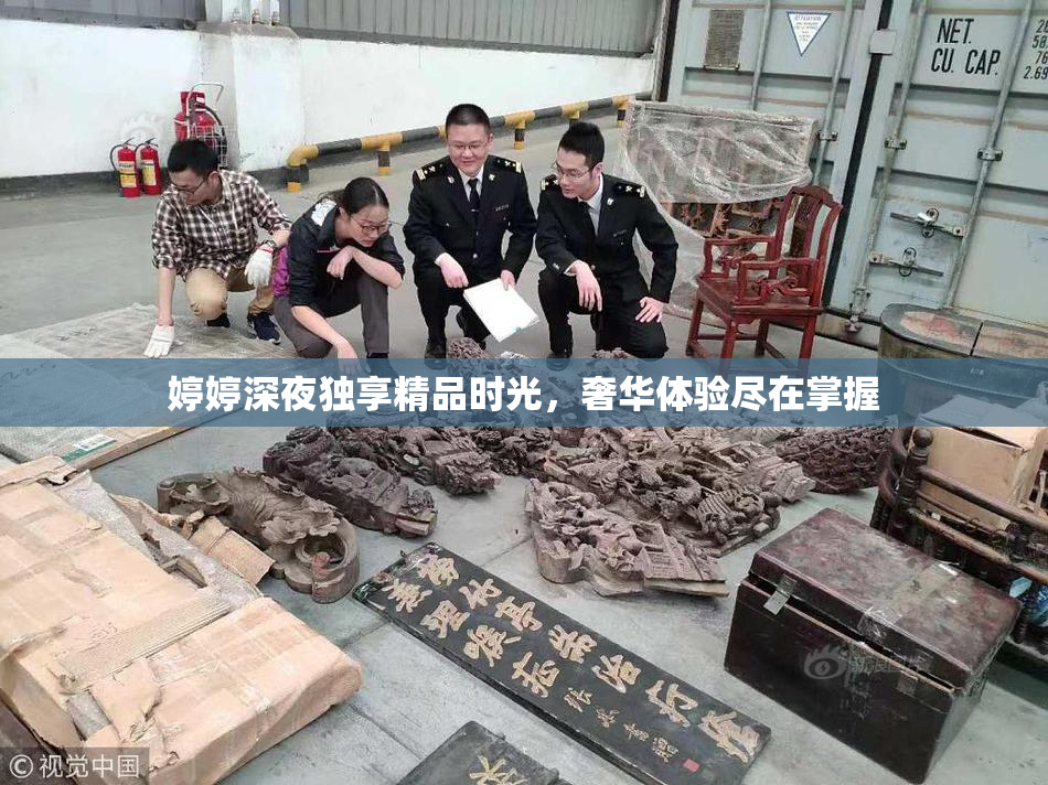 婷婷深夜独享精品时光，奢华体验尽在掌握