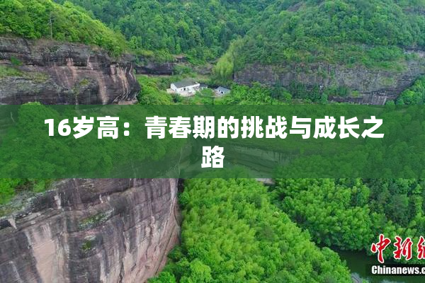 16岁高：青春期的挑战与成长之路