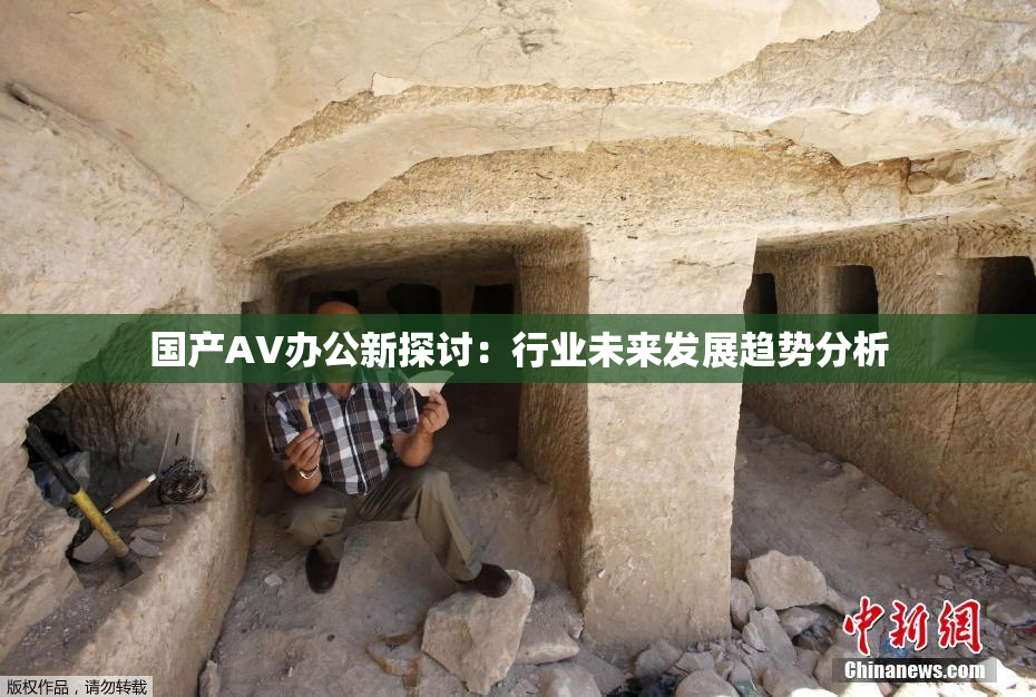 国产AV办公新探讨：行业未来发展趋势分析