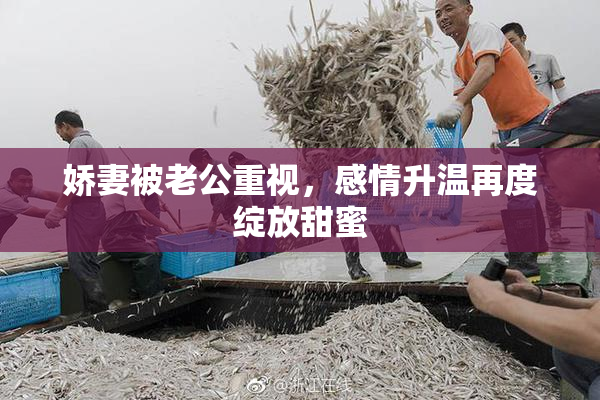 娇妻被老公重视，感情升温再度绽放甜蜜