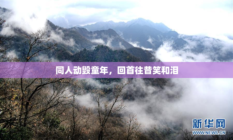 同人动毁童年，回首往昔笑和泪