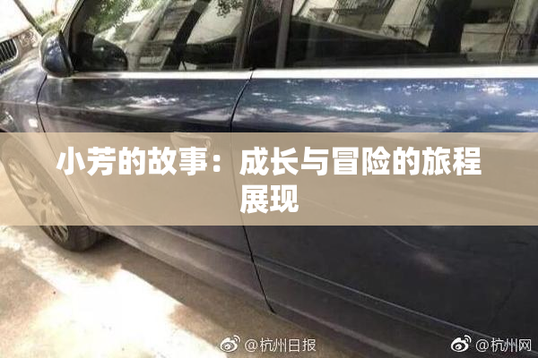 小芳的故事：成长与冒险的旅程展现