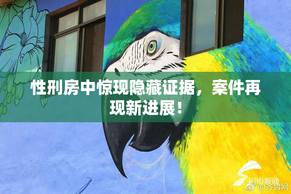 性刑房中惊现隐藏证据，案件再现新进展！