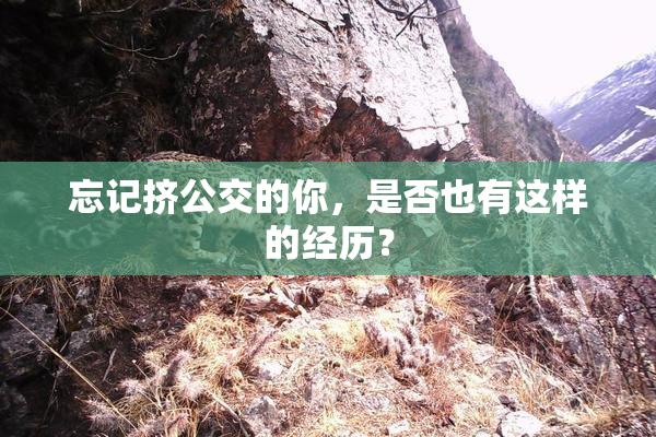 忘记挤公交的你，是否也有这样的经历？