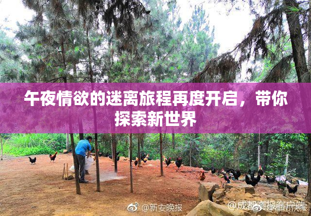 午夜情欲的迷离旅程再度开启，带你探索新世界