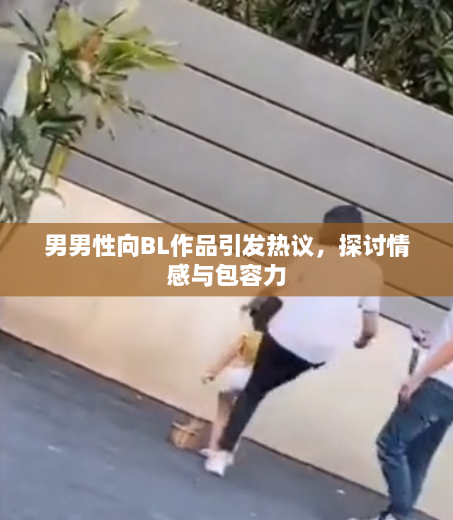 男男性向BL作品引发热议，探讨情感与包容力