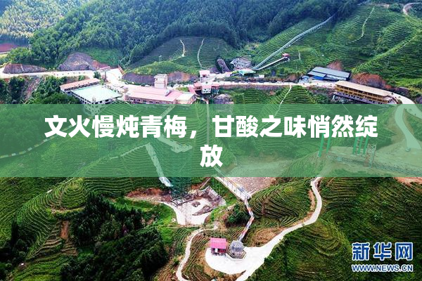 文火慢炖青梅，甘酸之味悄然绽放