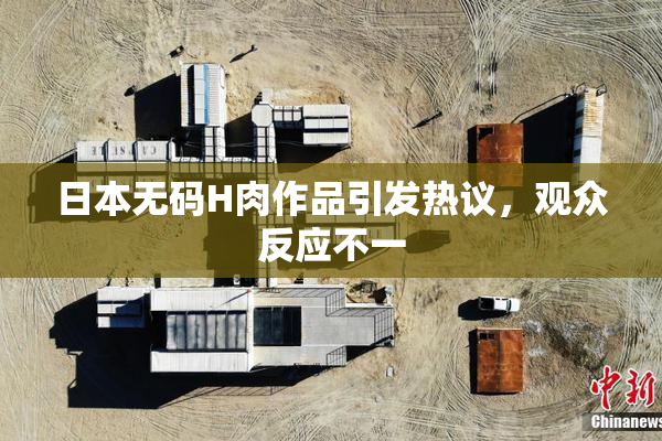 日本无码H肉作品引发热议，观众反应不一